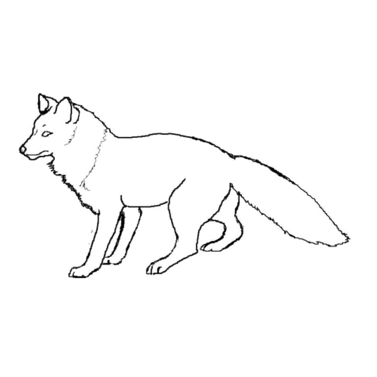 Radiant coloring page fox realistic