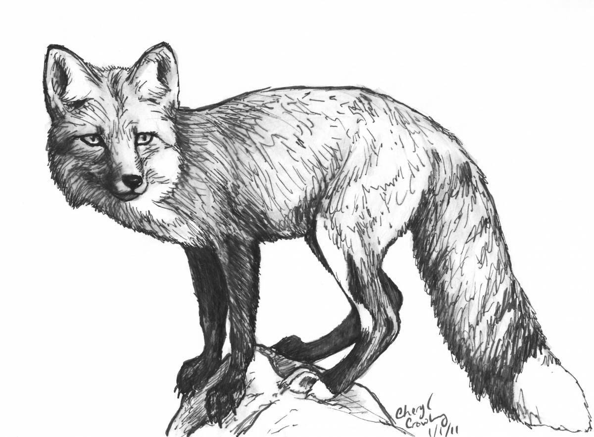 Awesome realistic fox coloring book