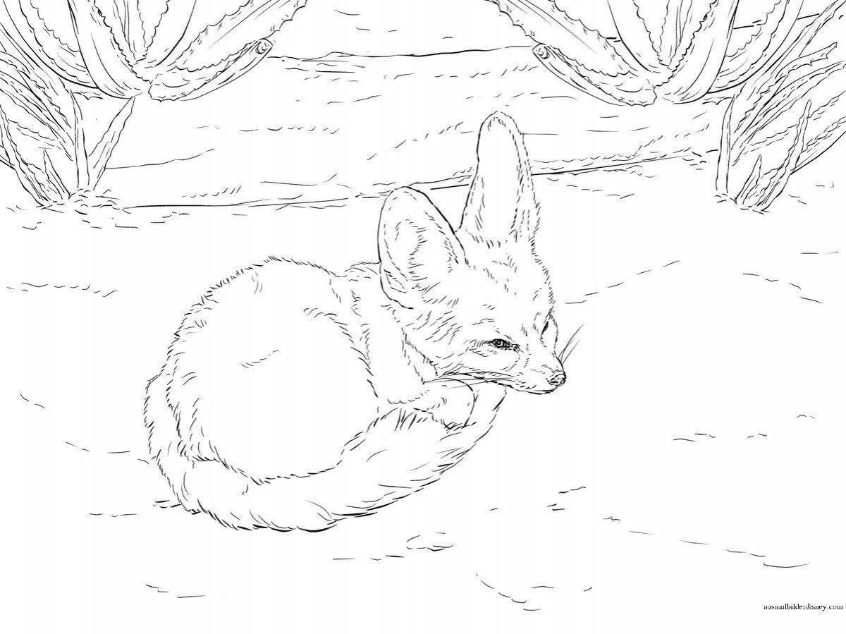 Beautiful fox coloring realistic