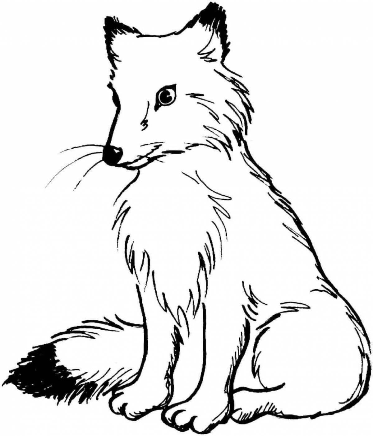 Delightful realistic fox coloring book