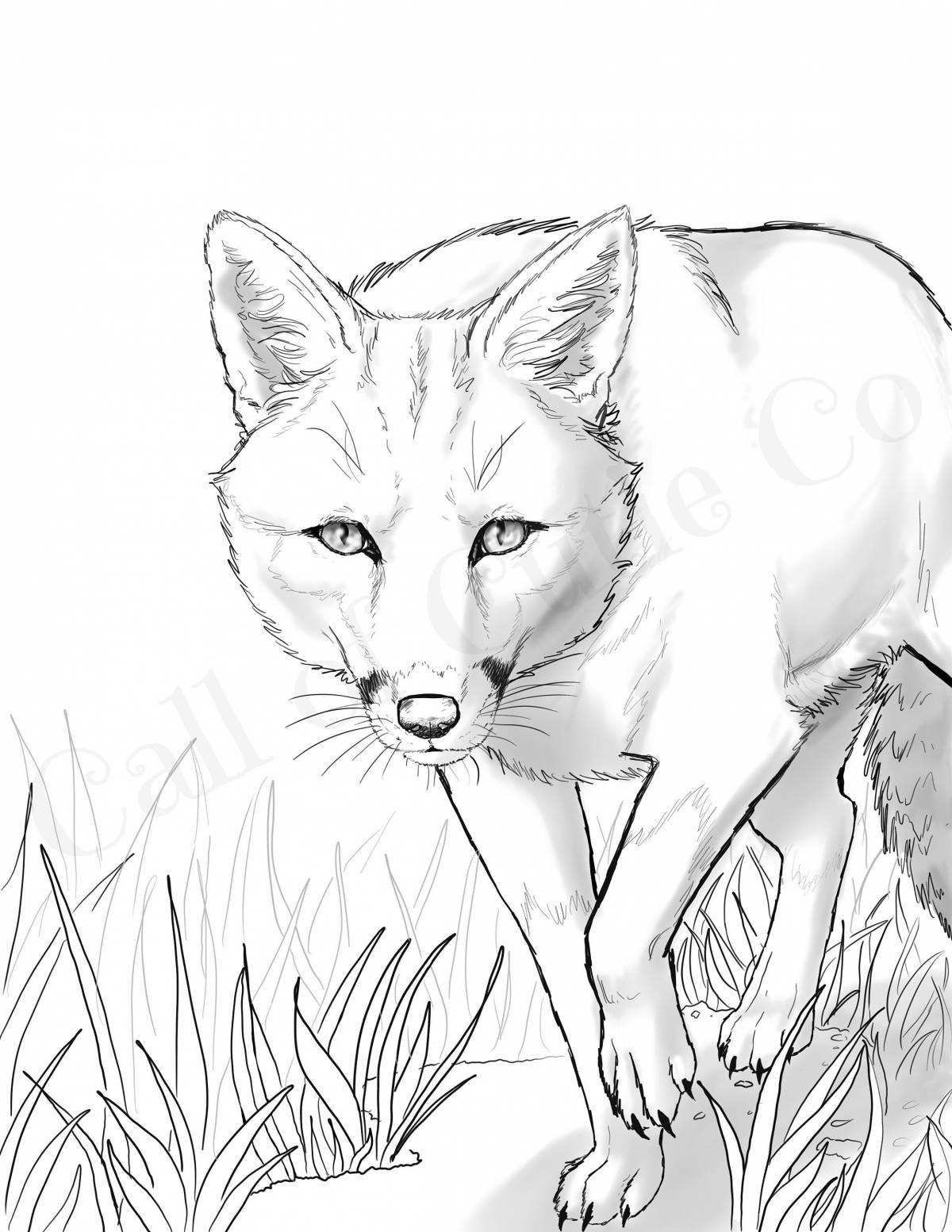 Serendipitous coloring page fox realistic