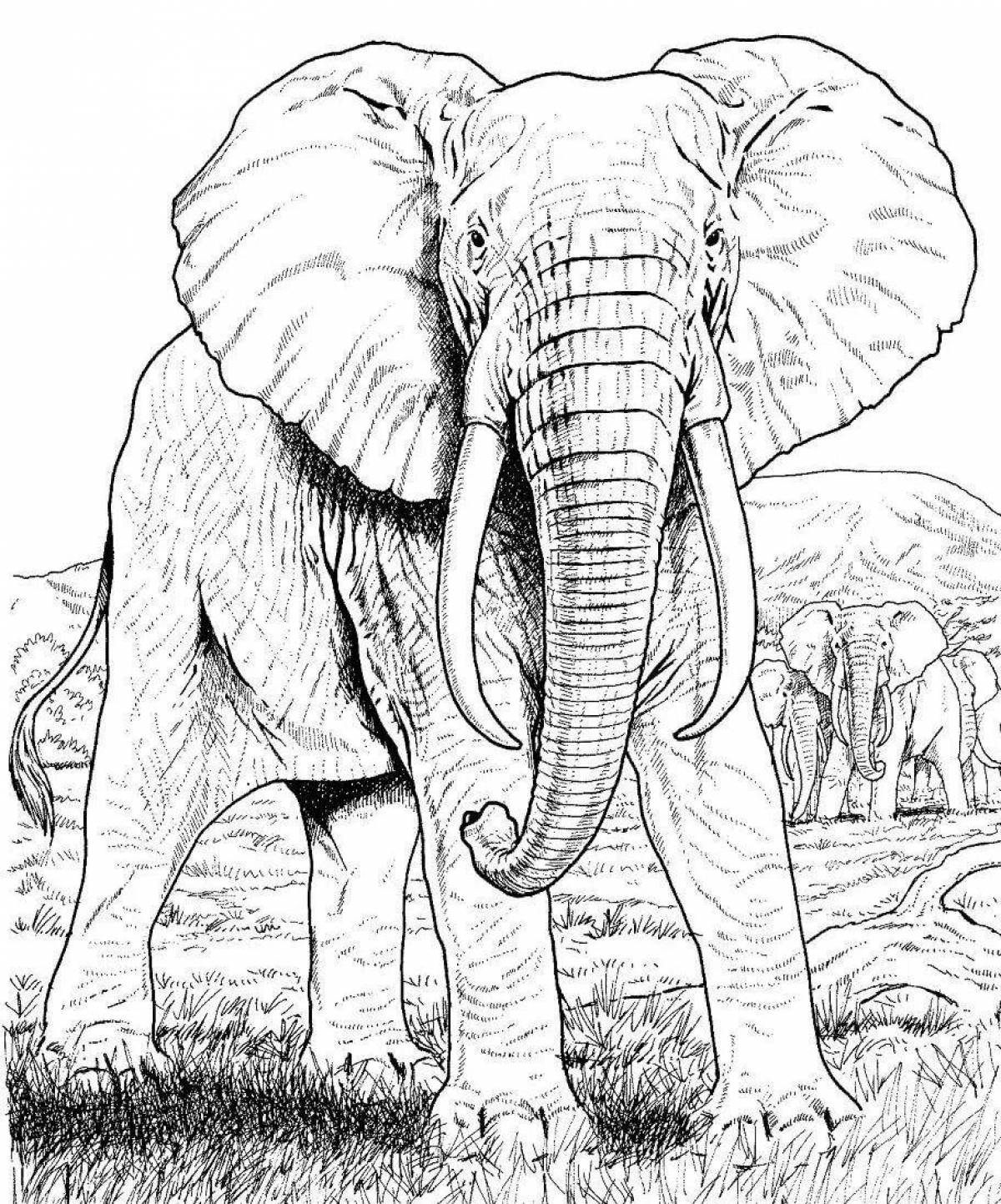 Элегантный рисунок слона