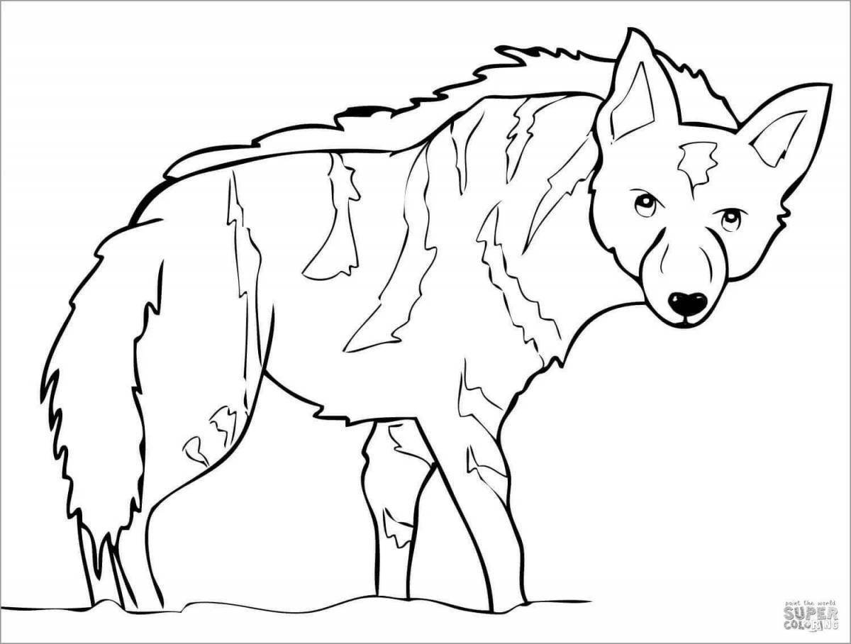 Animated striped hyena coloring page