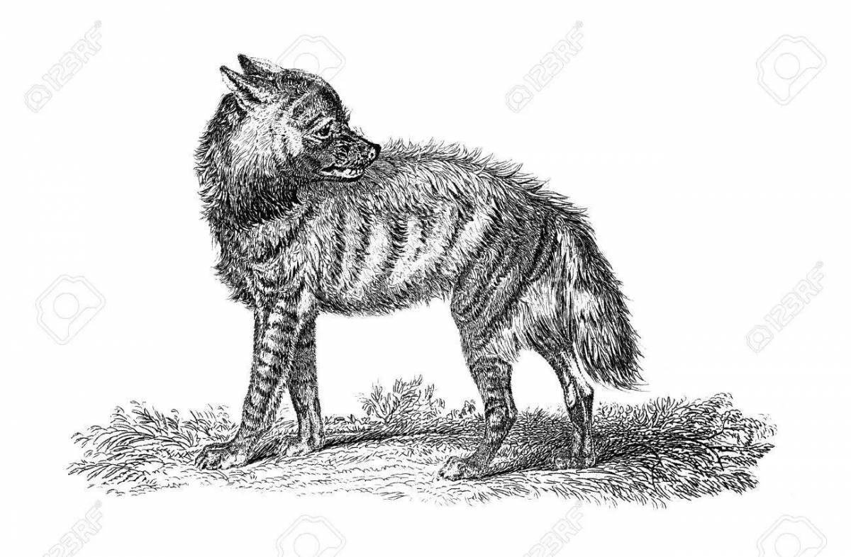 Exquisite striped hyena coloring book