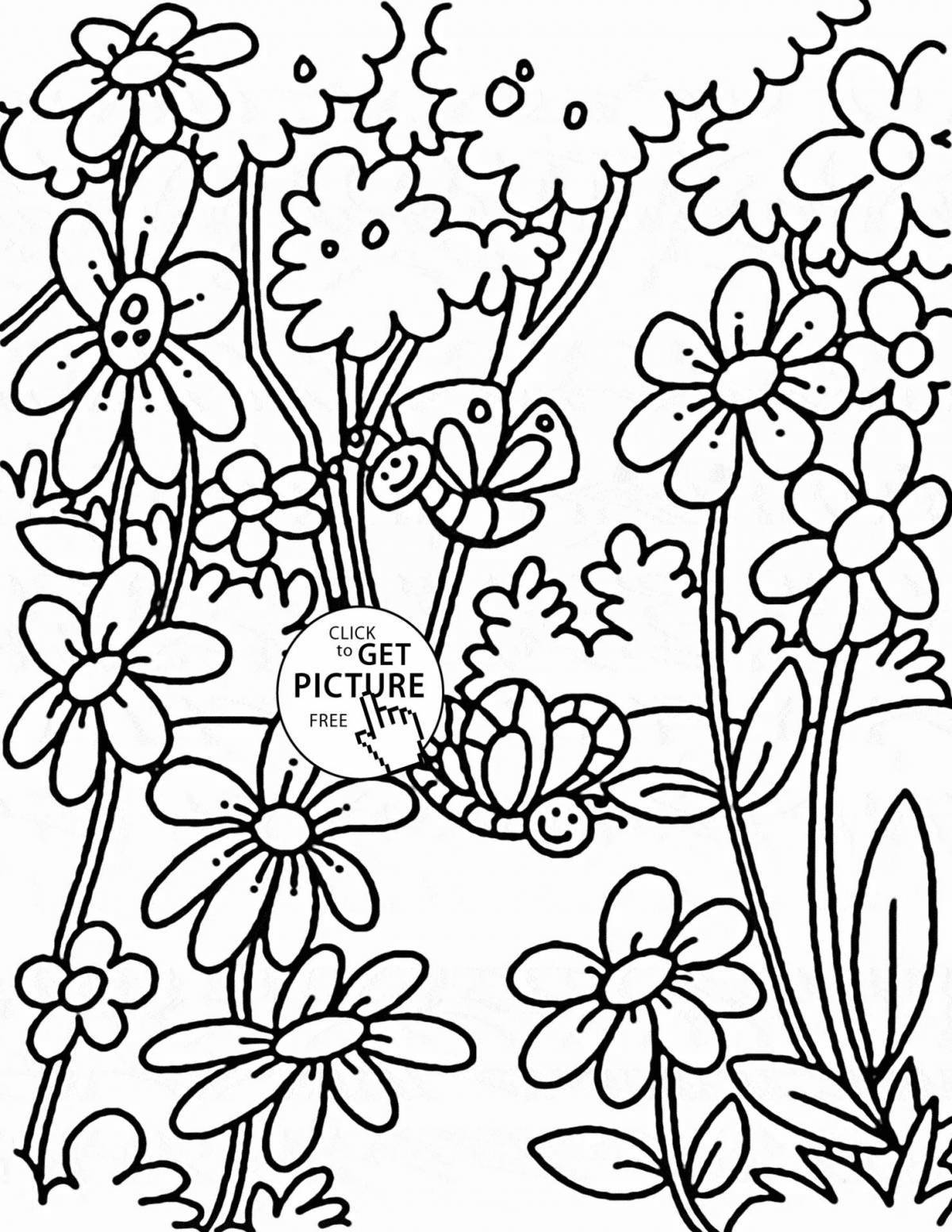 Colouring serene meadow of flowers