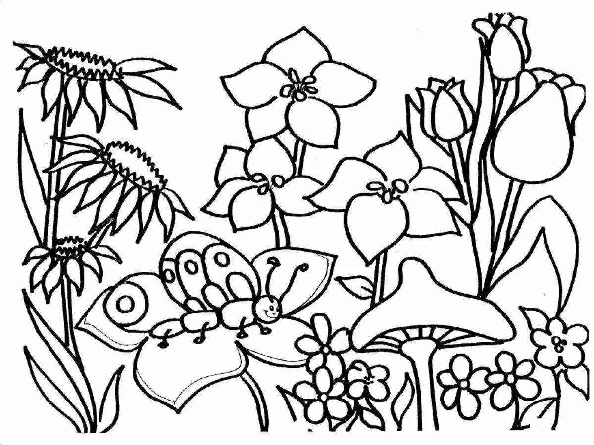 Coloring book luxury meadow of flowers