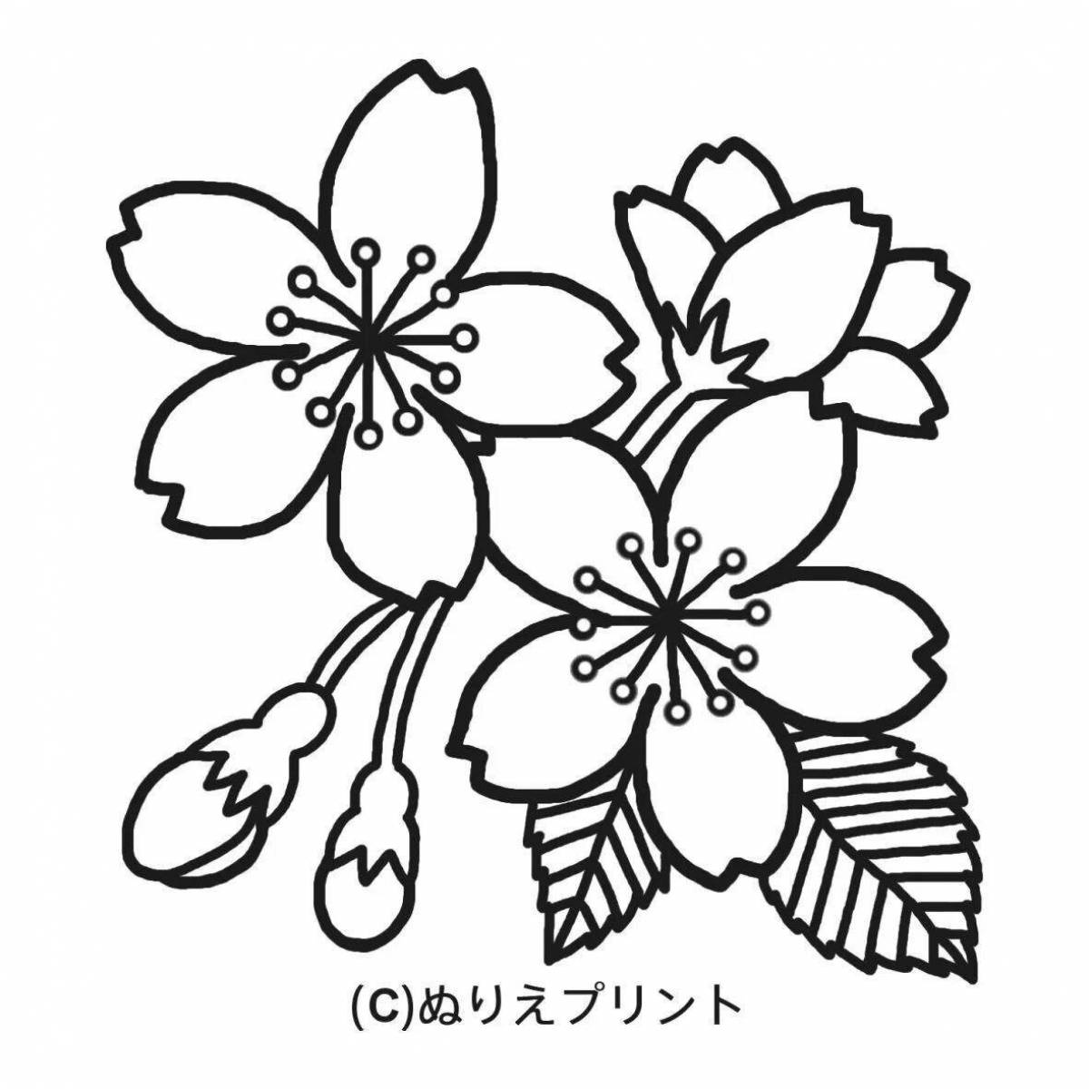 Coloring book inviting sakura branch