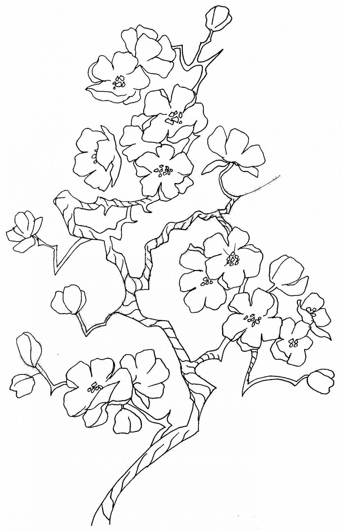 Coloring book shiny sakura branch