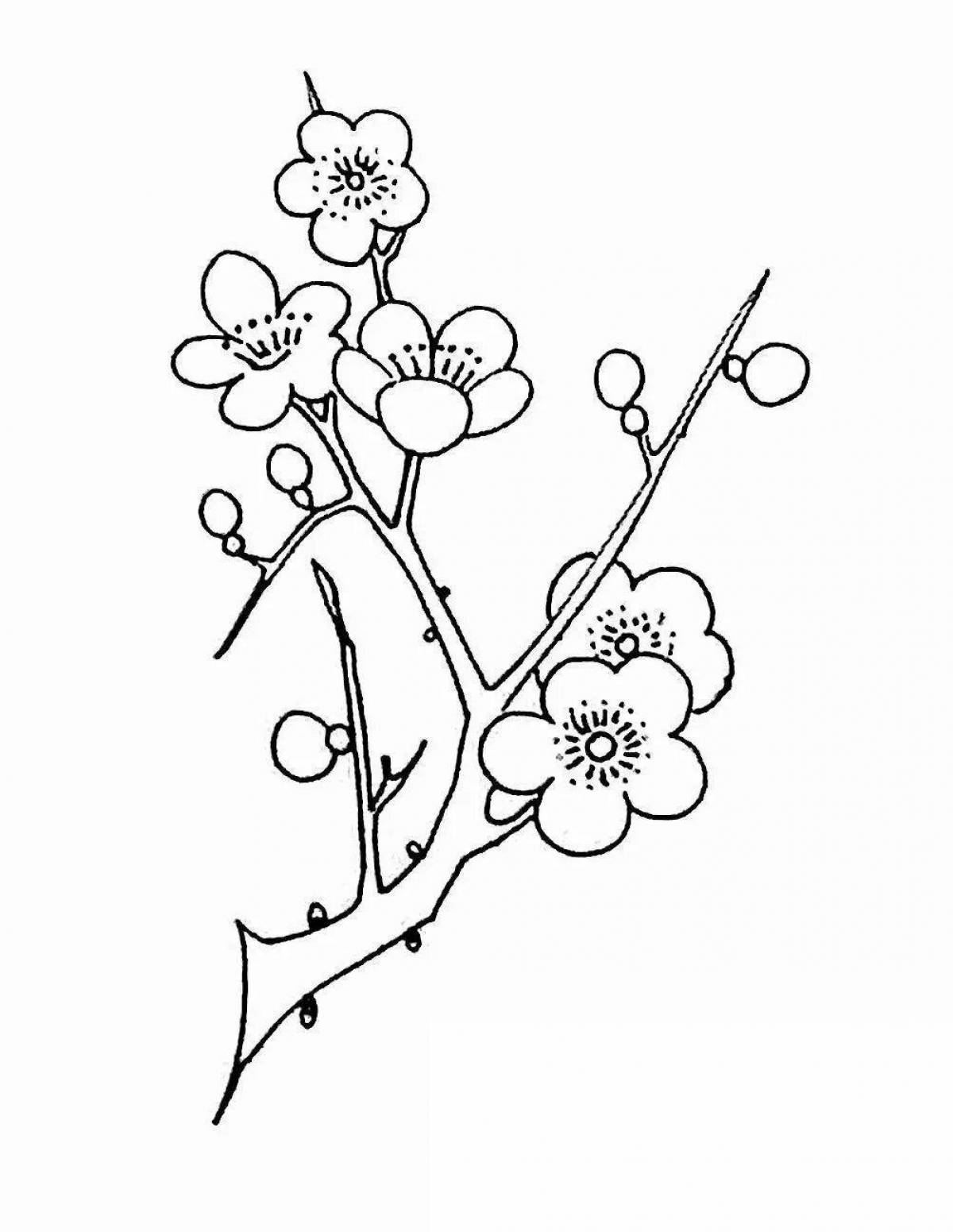 Coloring beautiful sakura branch