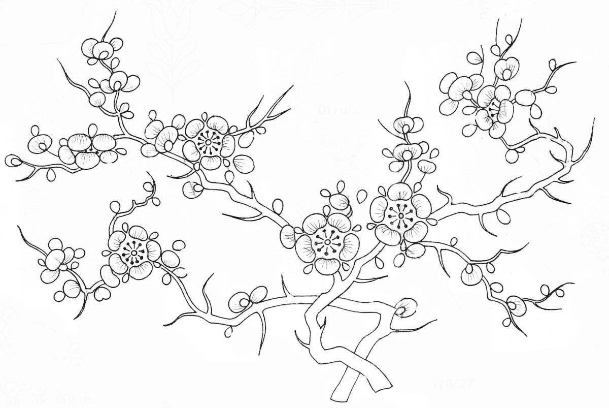 Раскраска экзотическая ветка сакуры