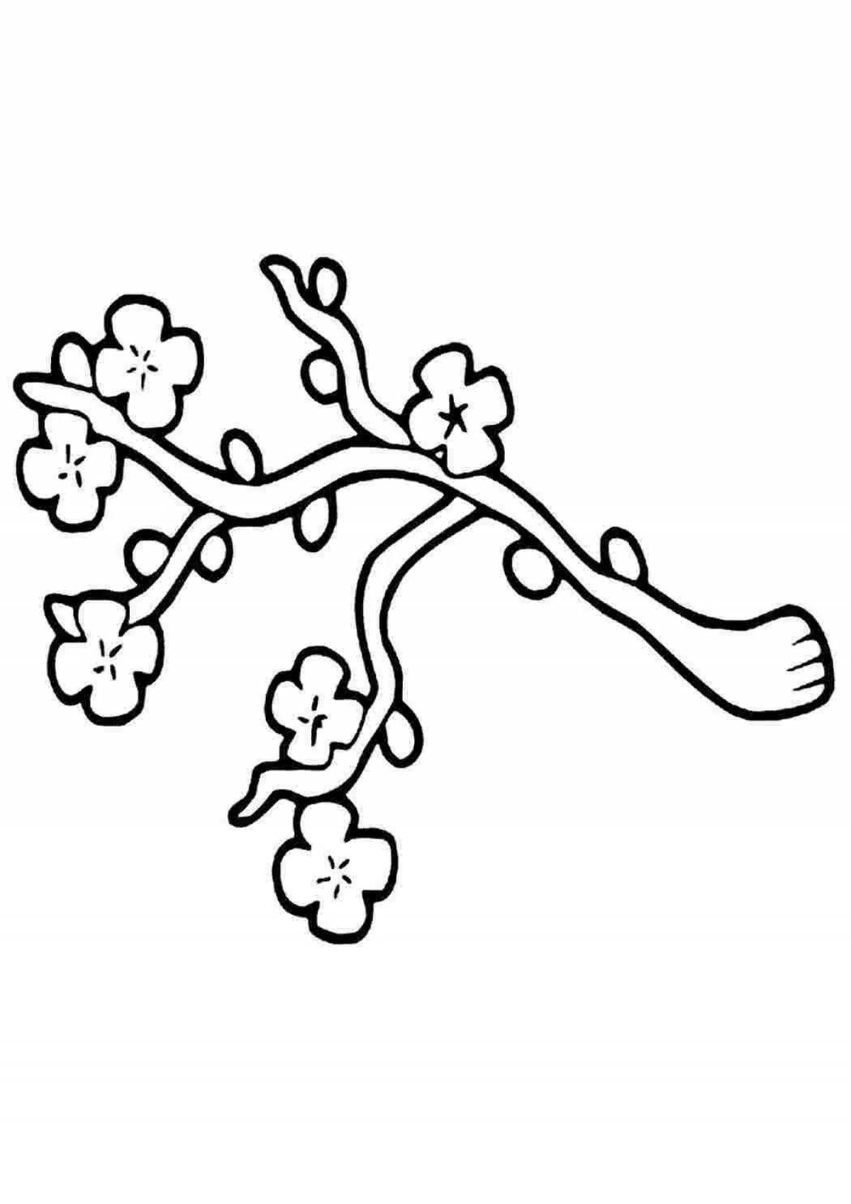 Fancy sakura branch coloring page
