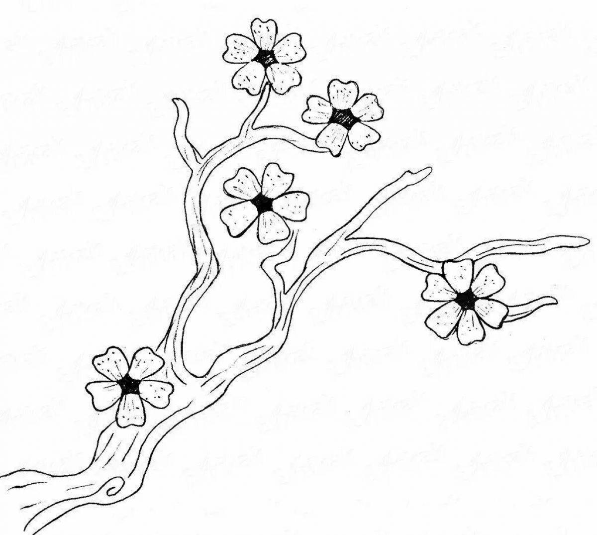 Coloring art sakura branch