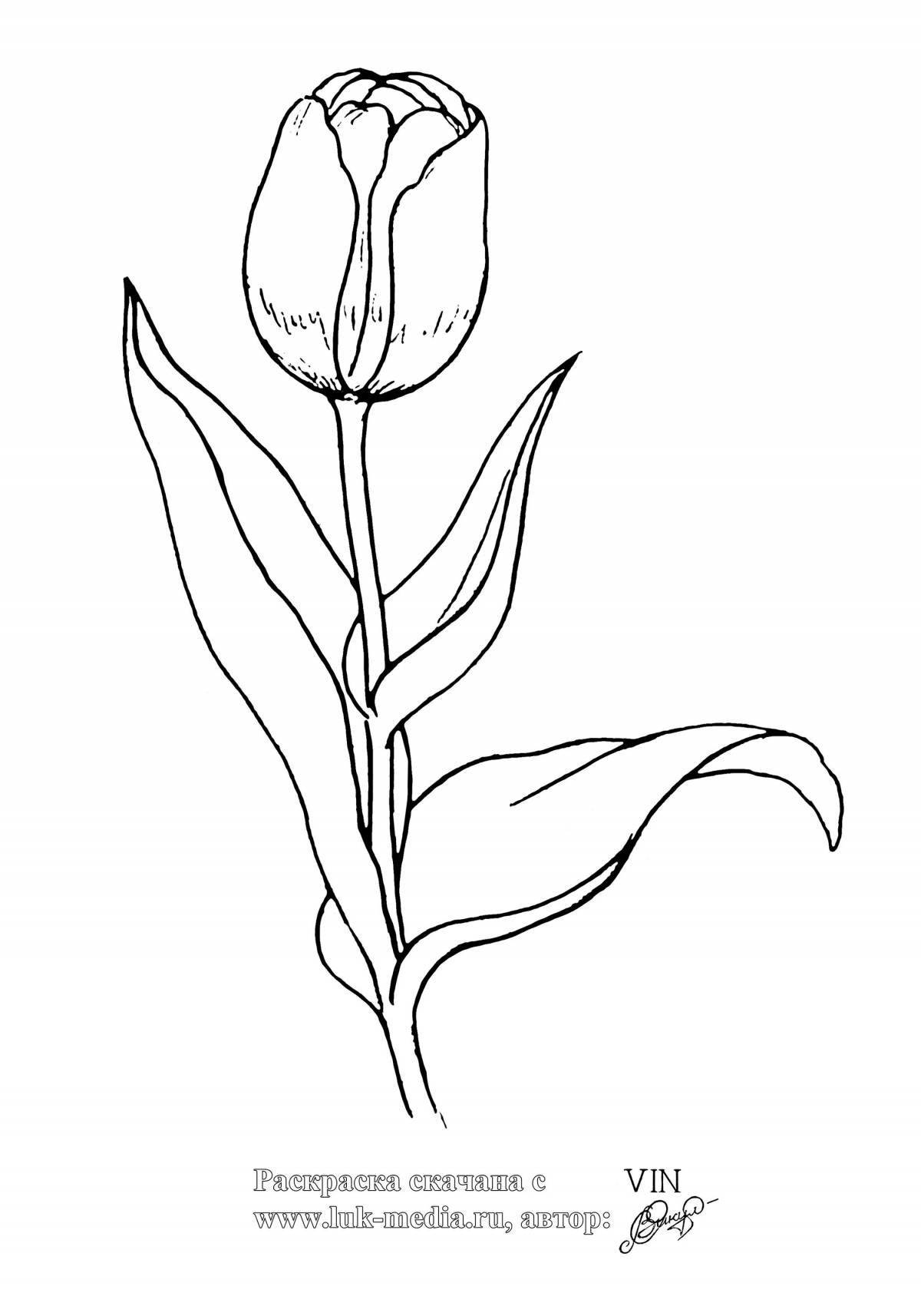 Изысканная раскраска тюльпанов