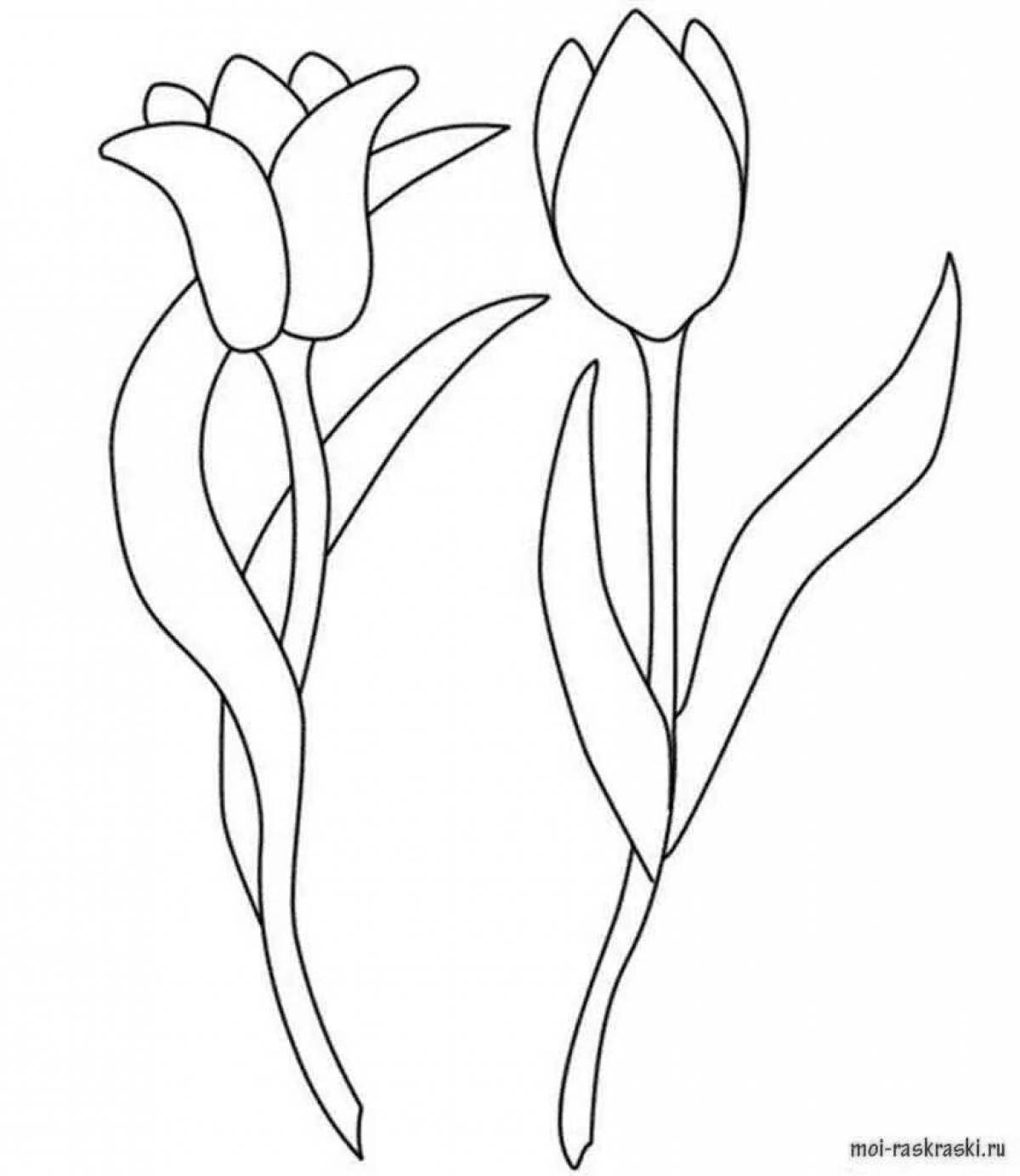 Раскраска буйный тюльпан