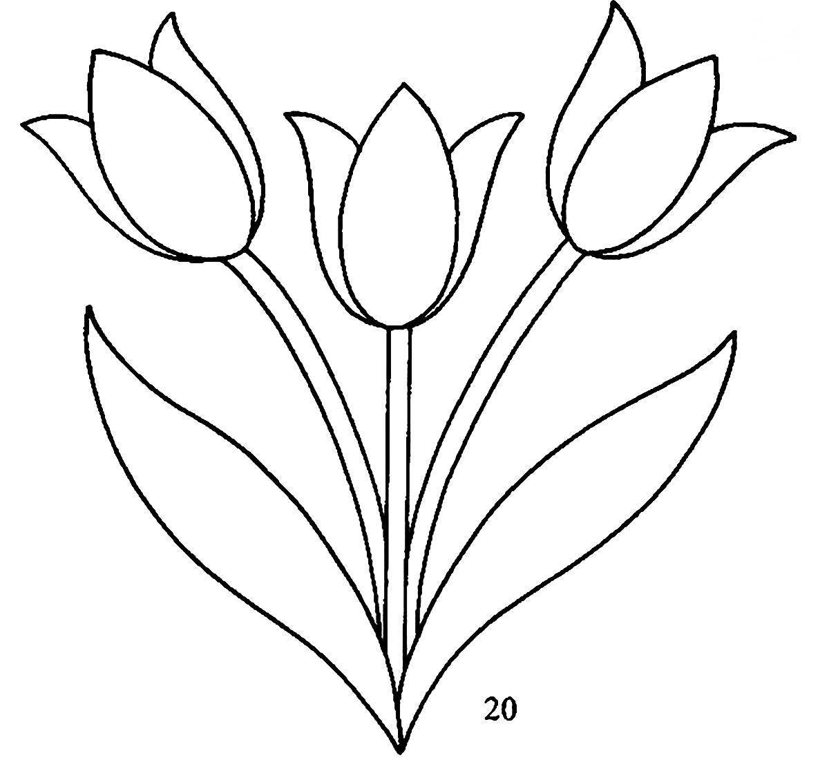 Coloring book blooming tulip
