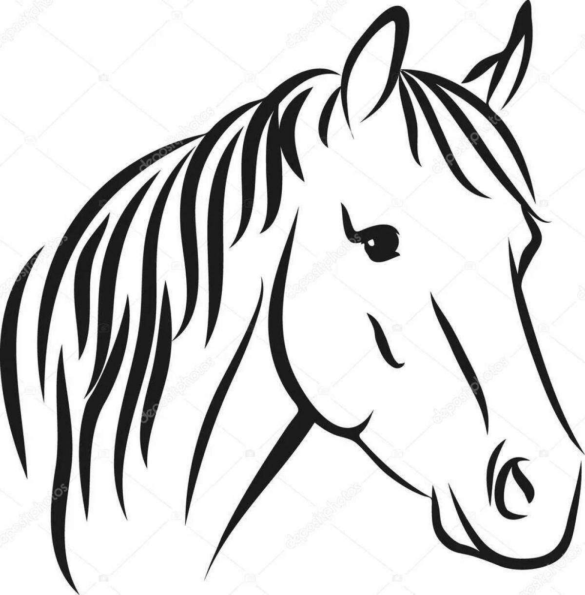 Great horse head coloring book