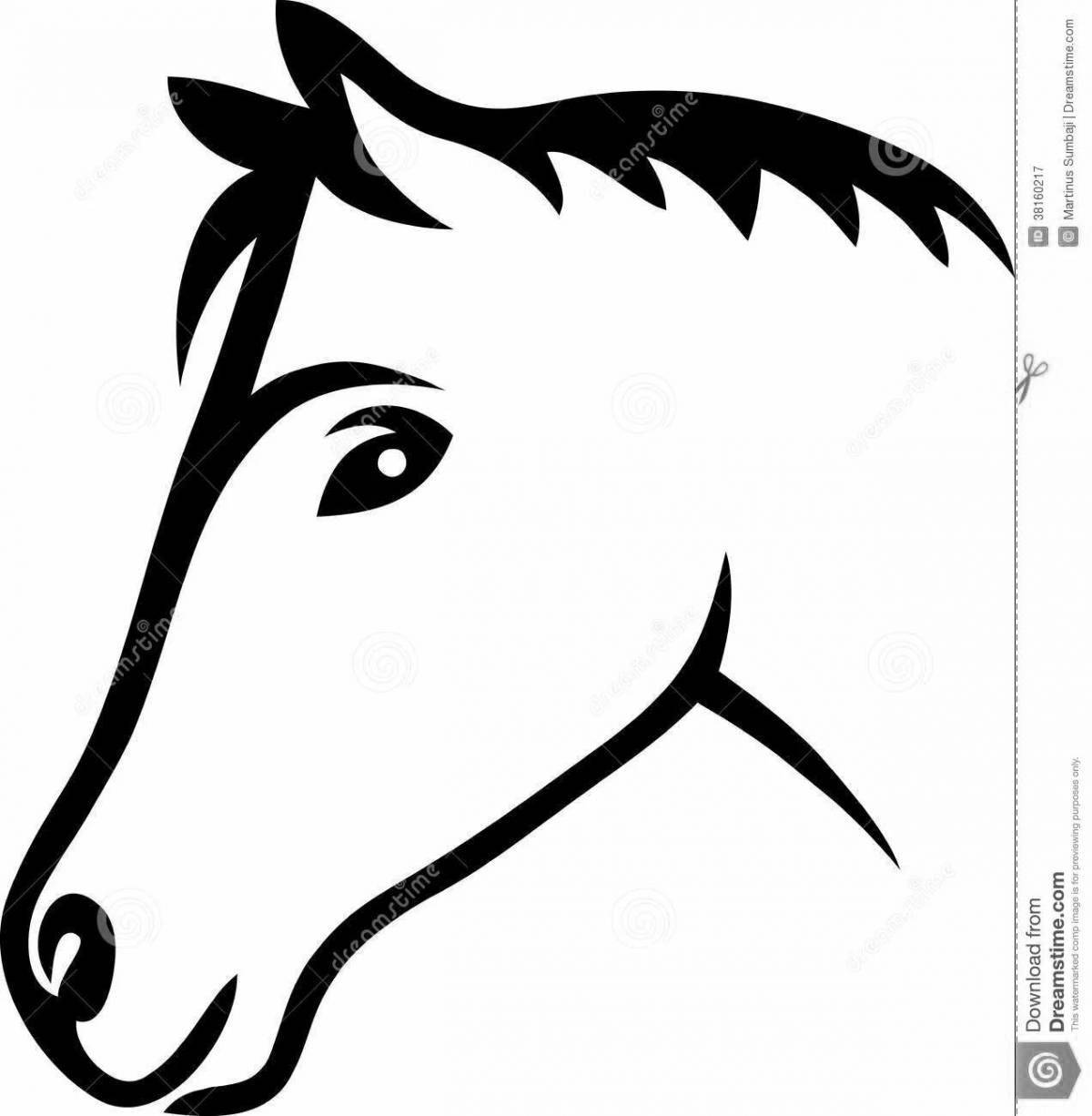 Shine horse head coloring book