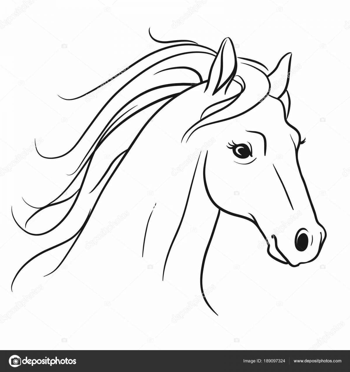 Shiny coloring horse head
