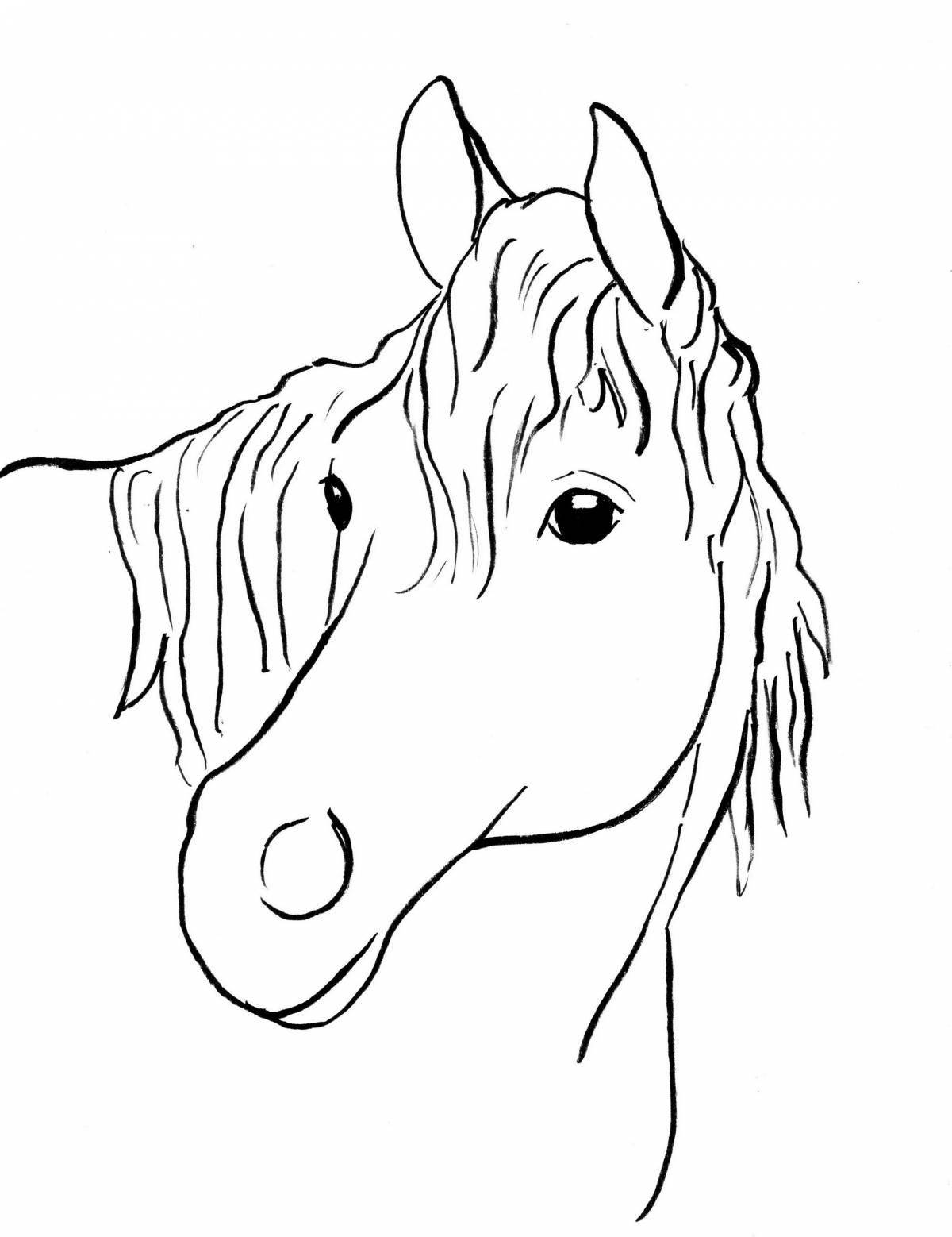 Luxury coloring horse head