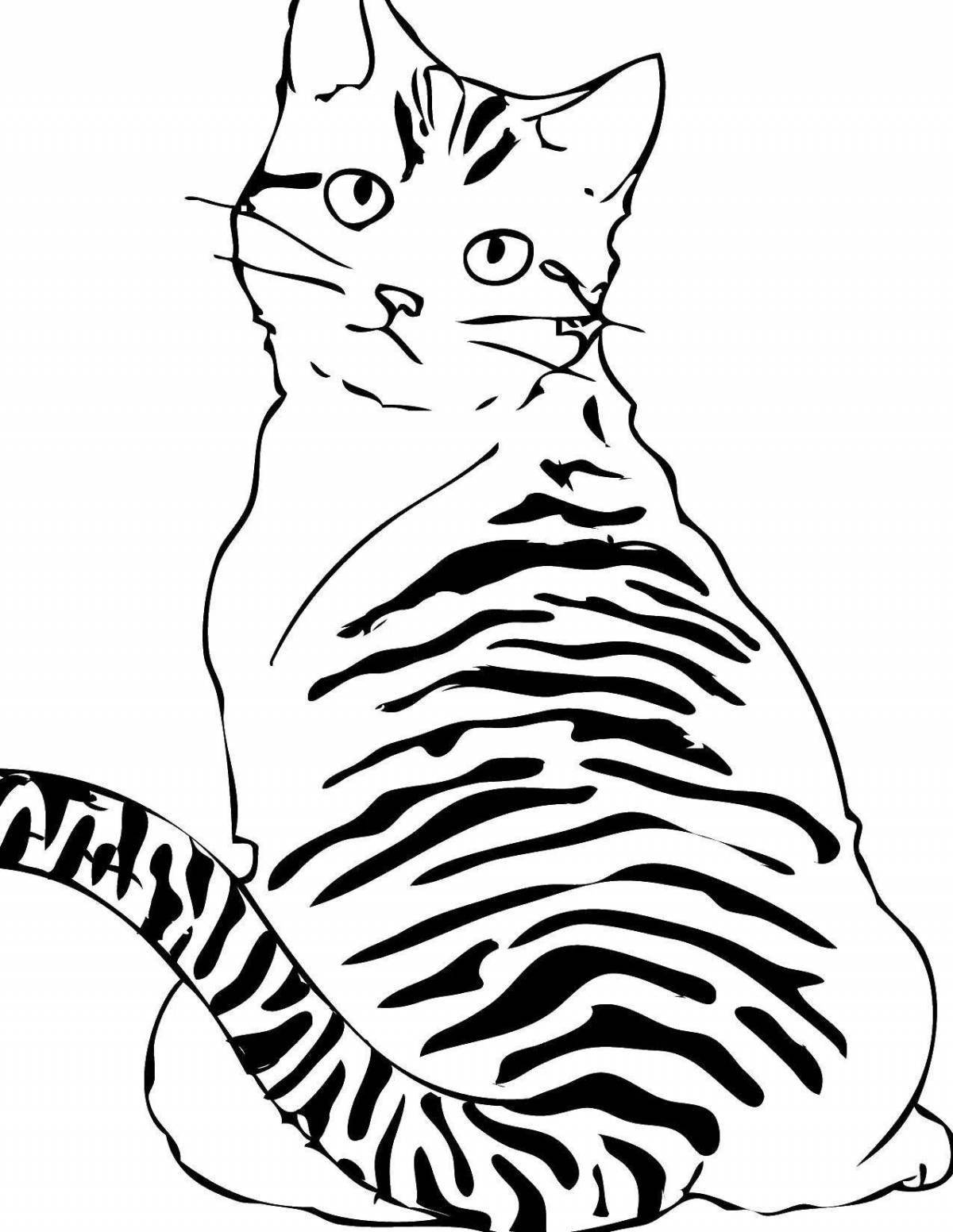 Curious tabby cat coloring book