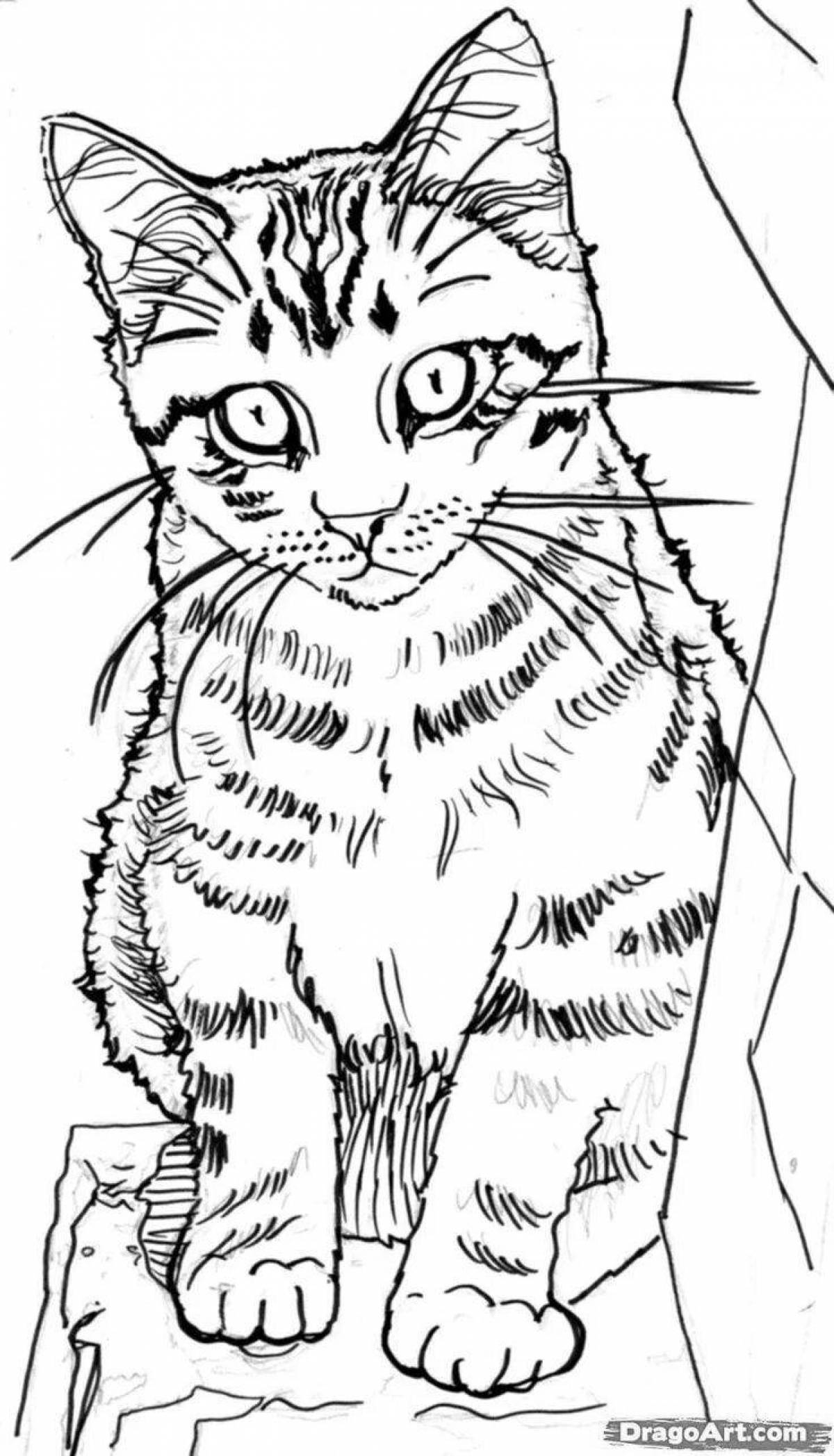 Coloring book inquisitive tabby cat