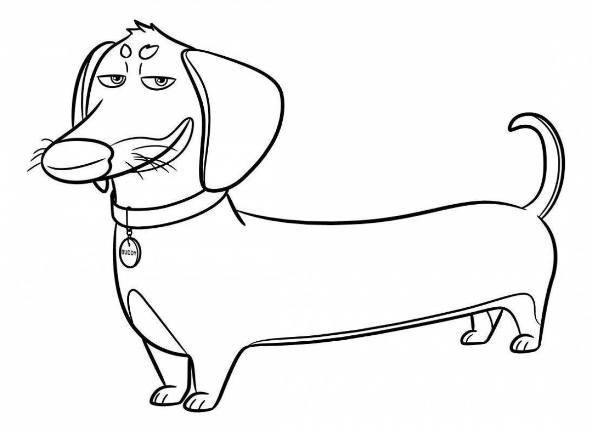 Coloring page charming dachshund