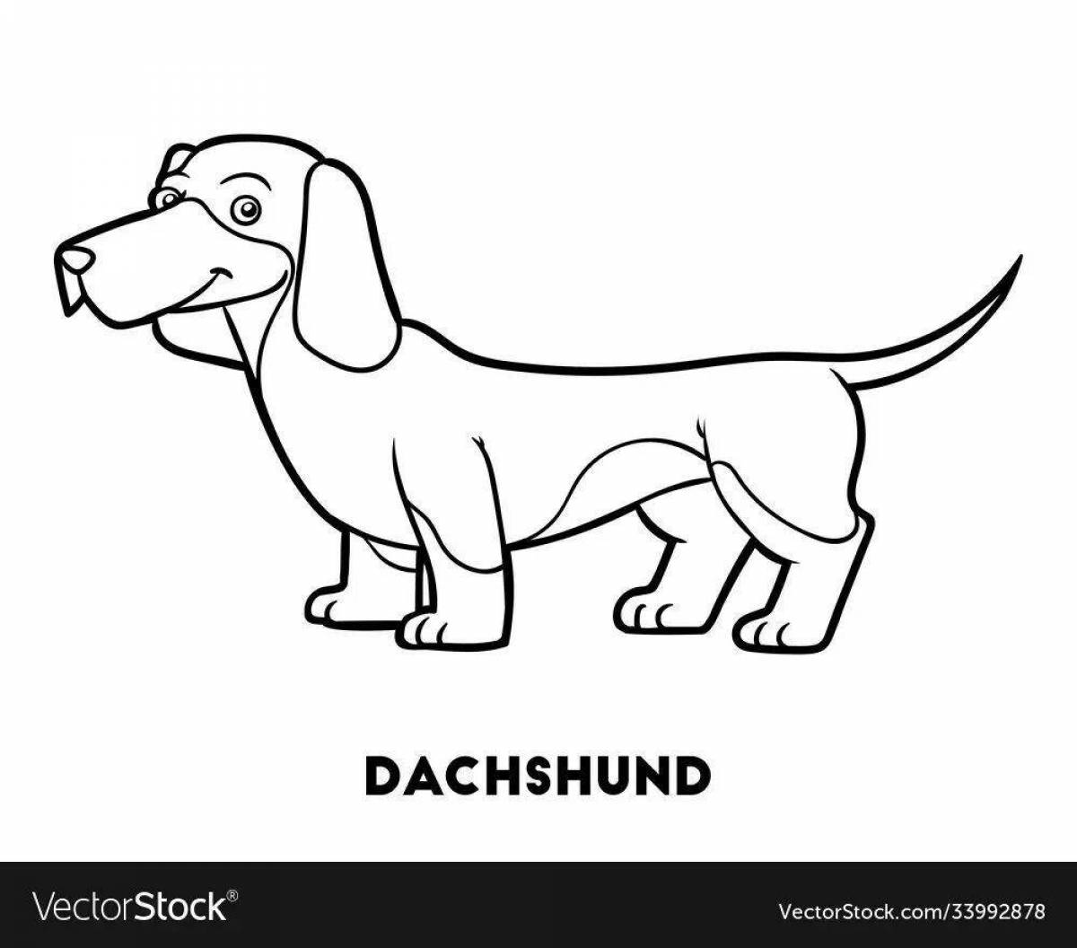 Coloring book brave dachshund