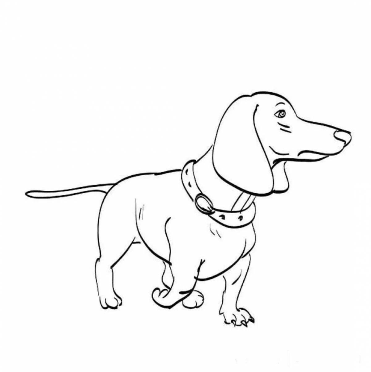Coloring book inquisitive dachshund