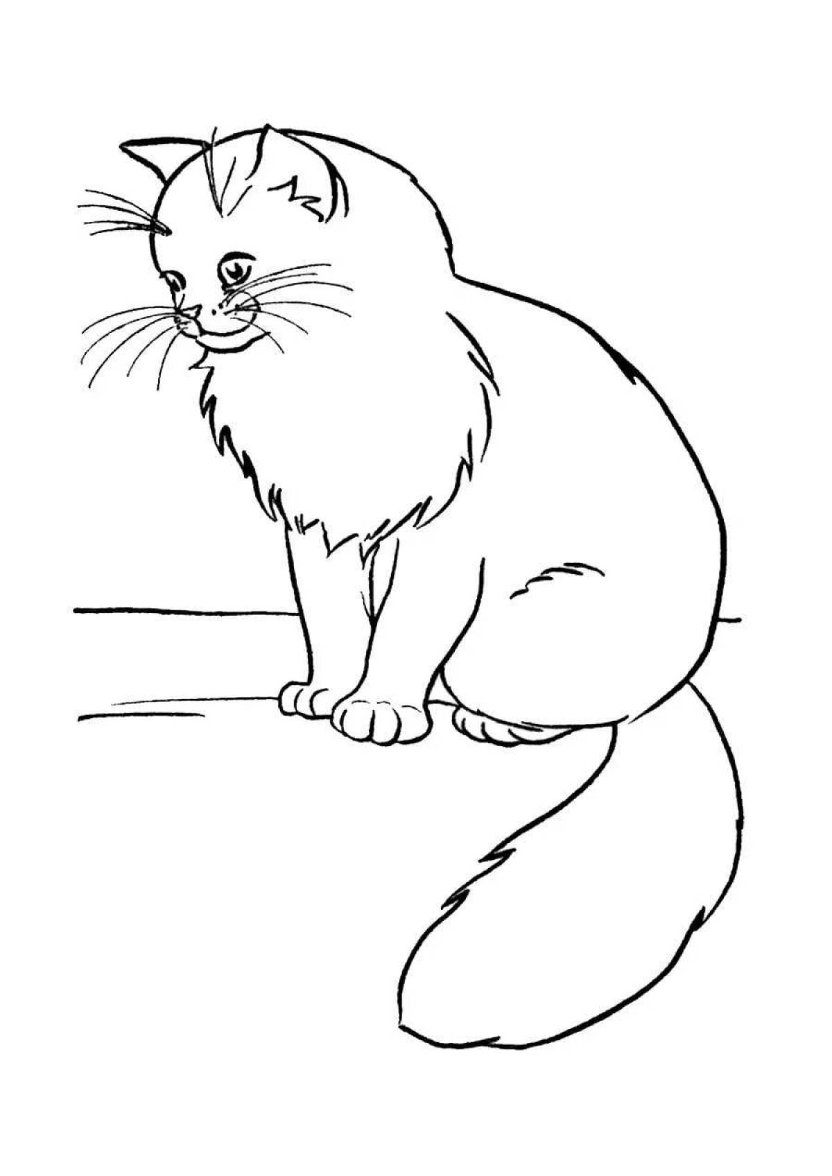 Exquisite cat coloring page