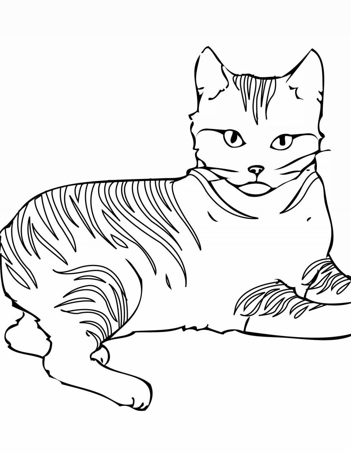 Творческая раскраска кошек