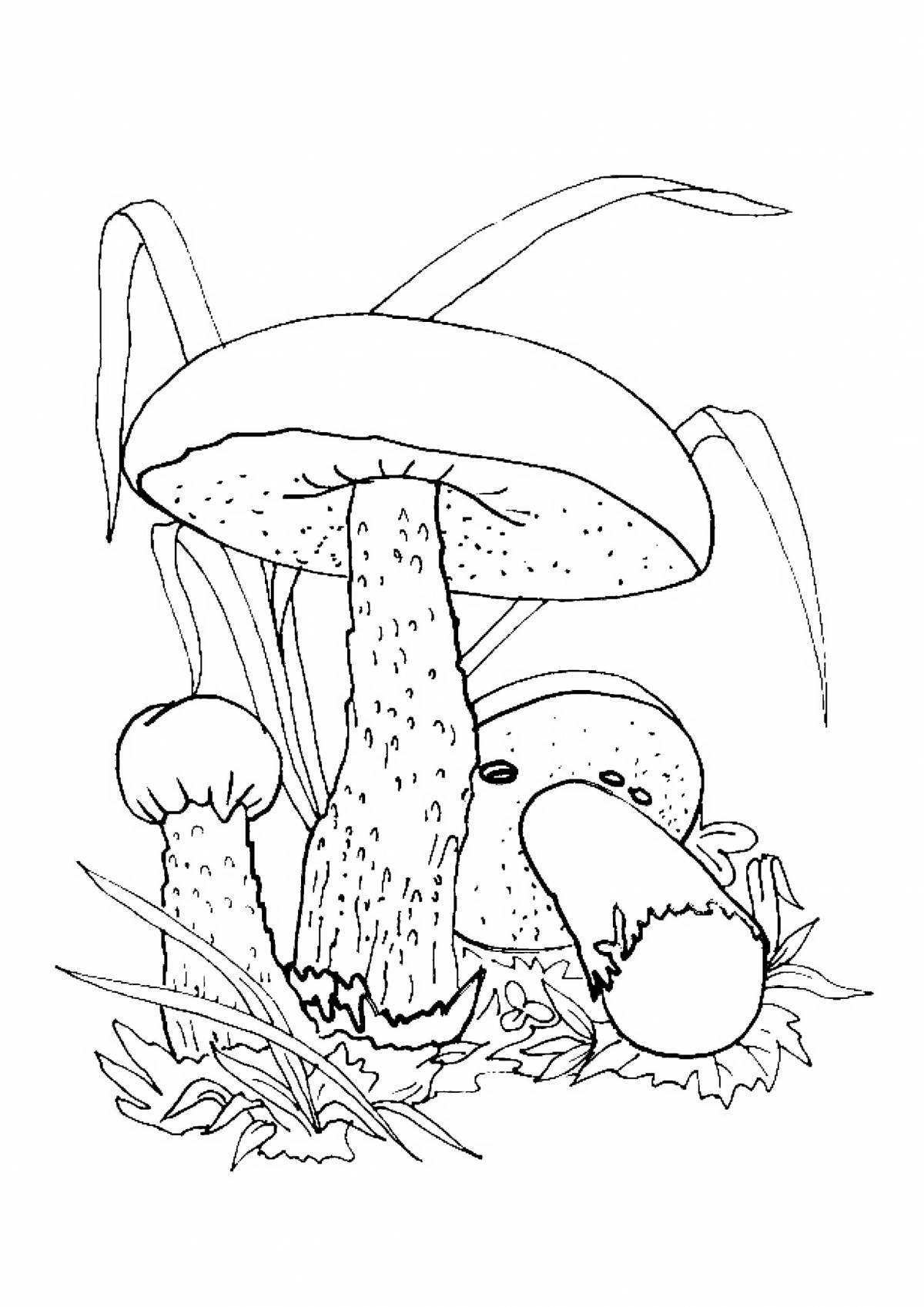 Сияющий рисунок гриба