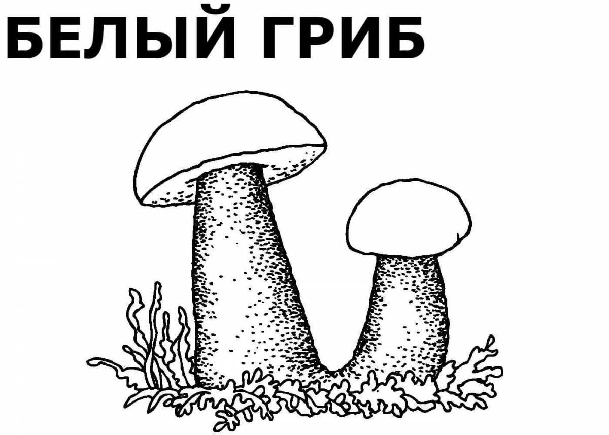 Coloring wild mushroom