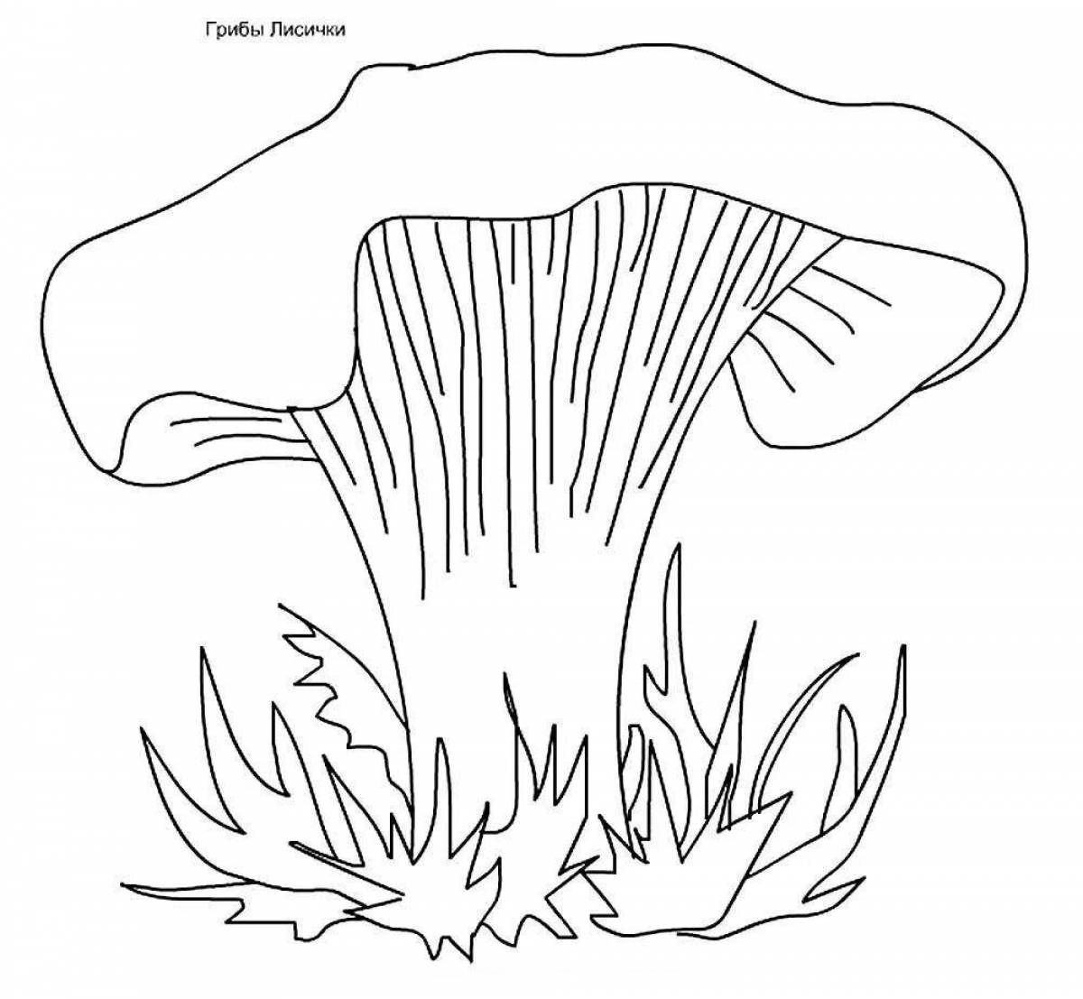 Dazzling drawing of mushrooms