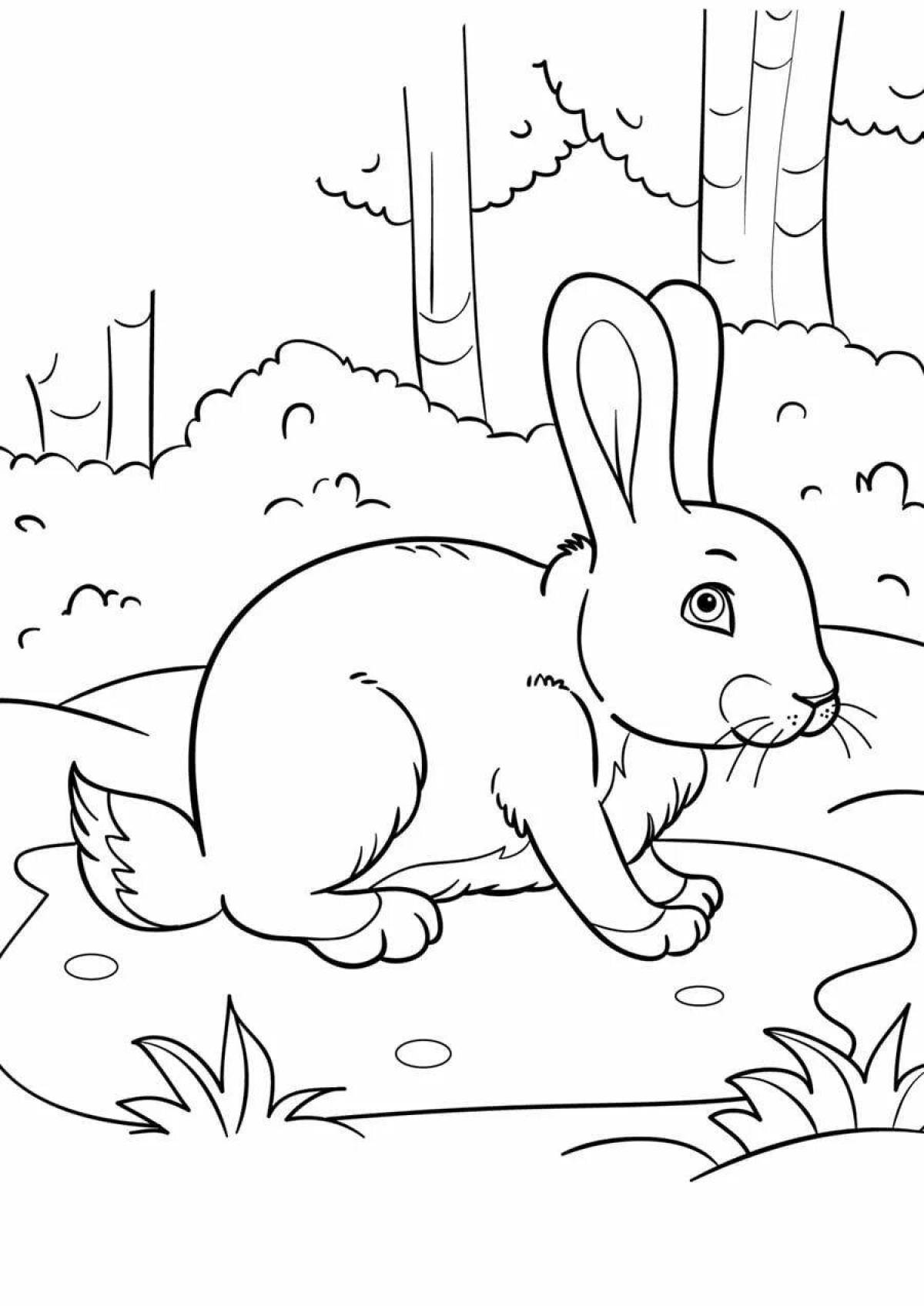 Coloring plush winter rabbit