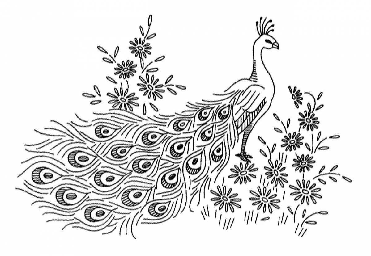 Exquisite magic bird coloring book