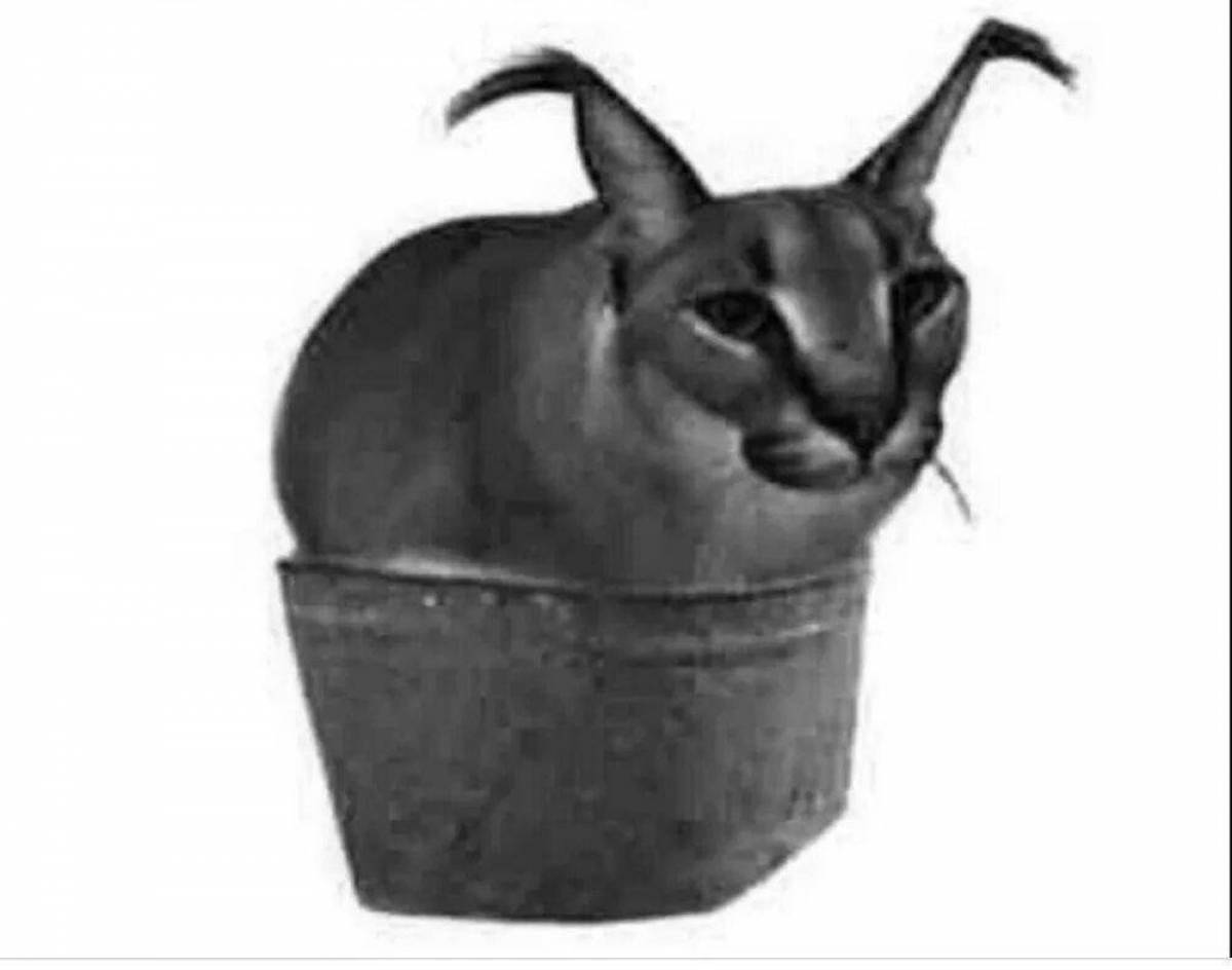 Fantasy coloring page slap meme