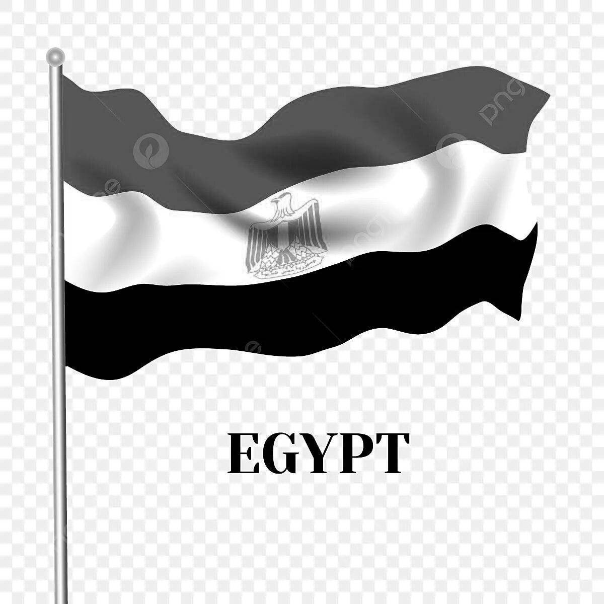 Bold Egyptian flag coloring page