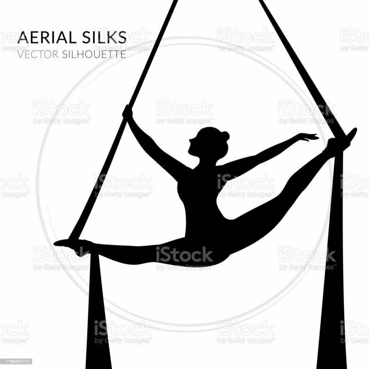 Coloring majestic aerial gymnastics