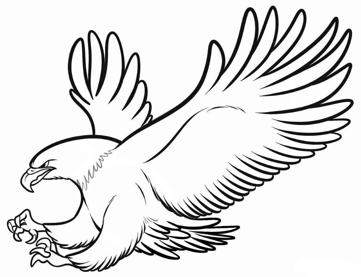 Majestic white-tailed eagle coloring page