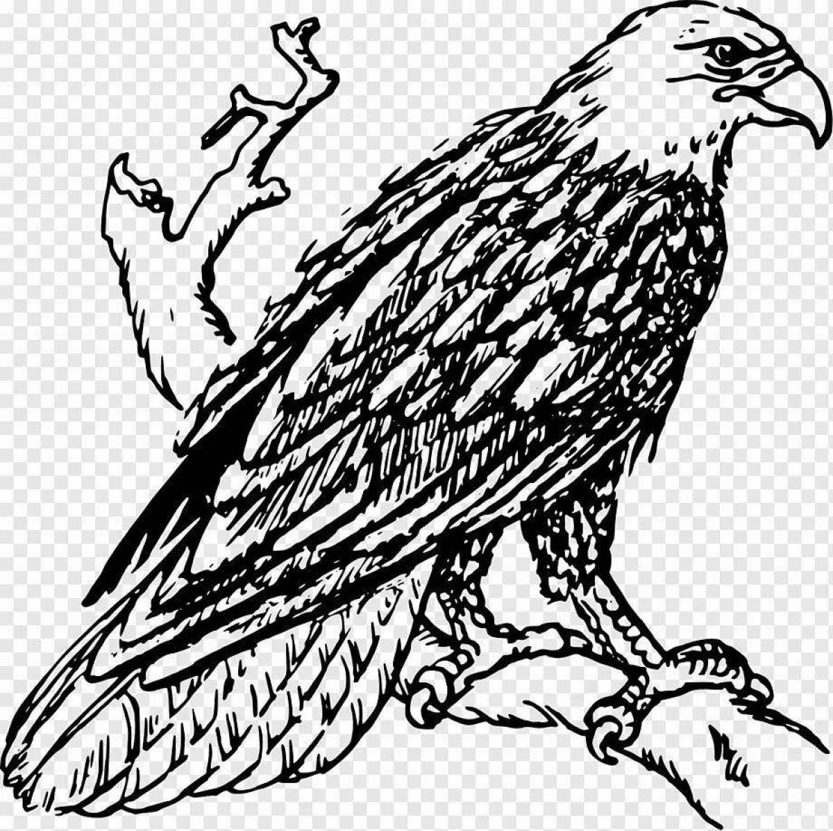 Coloring book magnificent white-tailed eagle