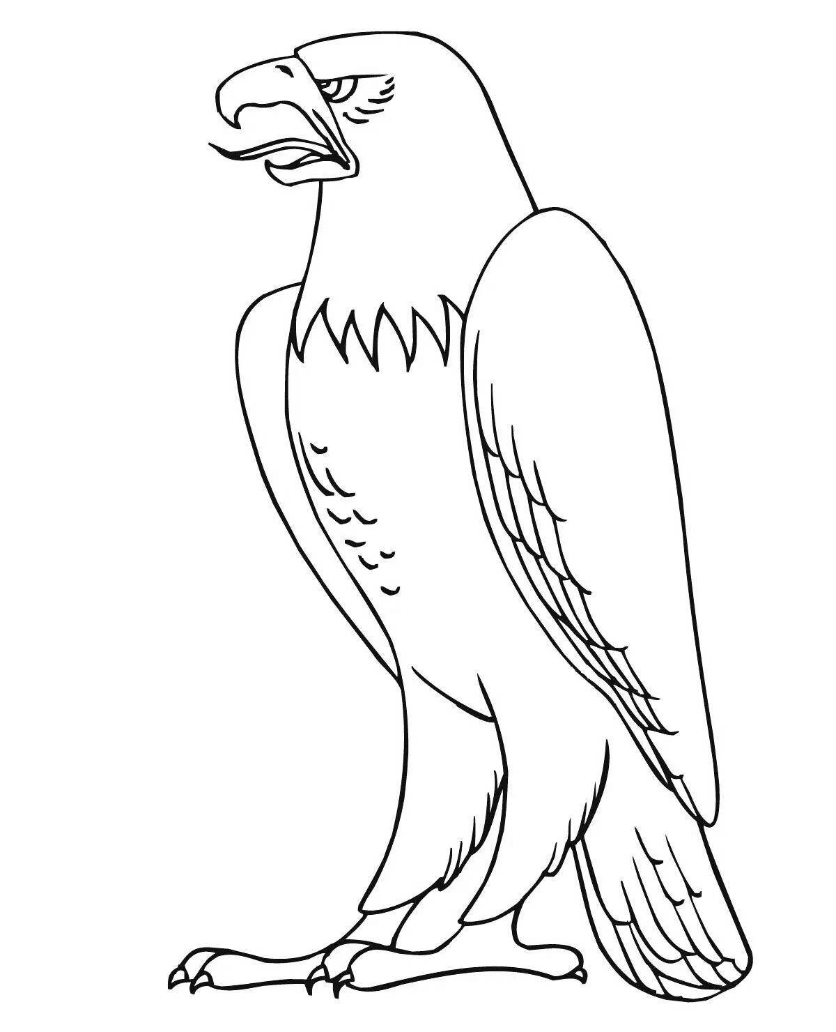Radiant white-tailed eagle coloring page