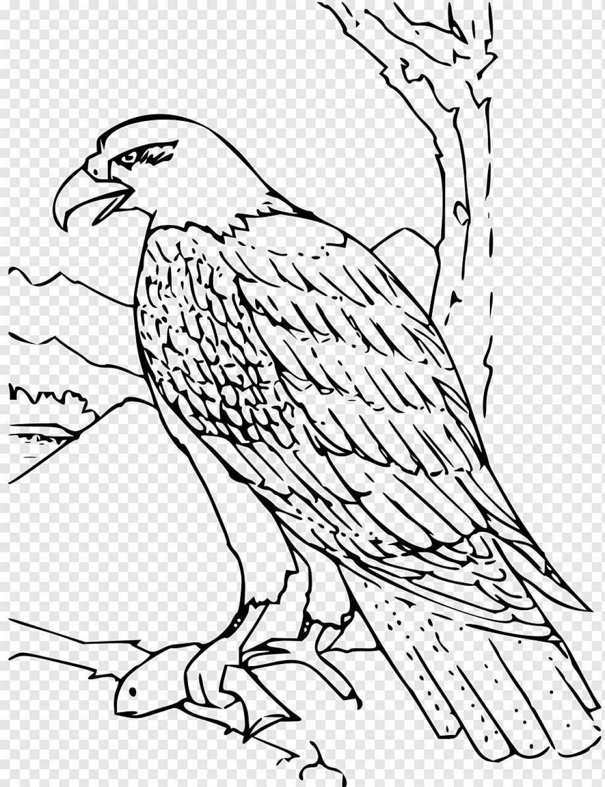 Great white-tailed eagle coloring page