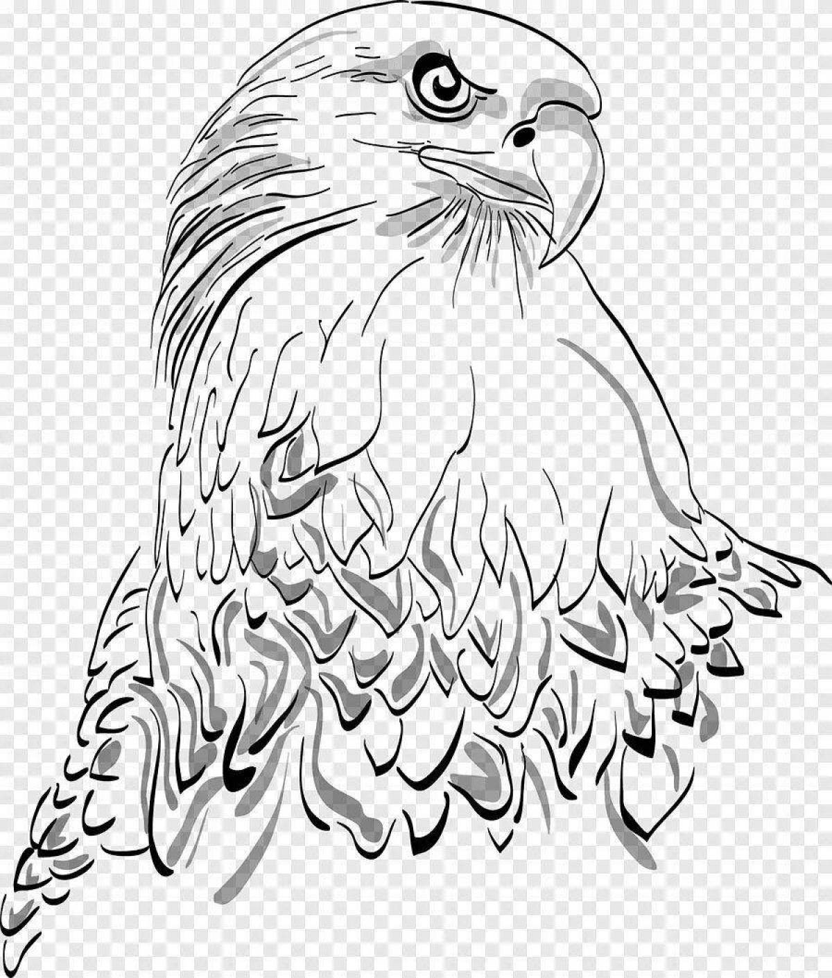 Impressive white-tailed eagle coloring page