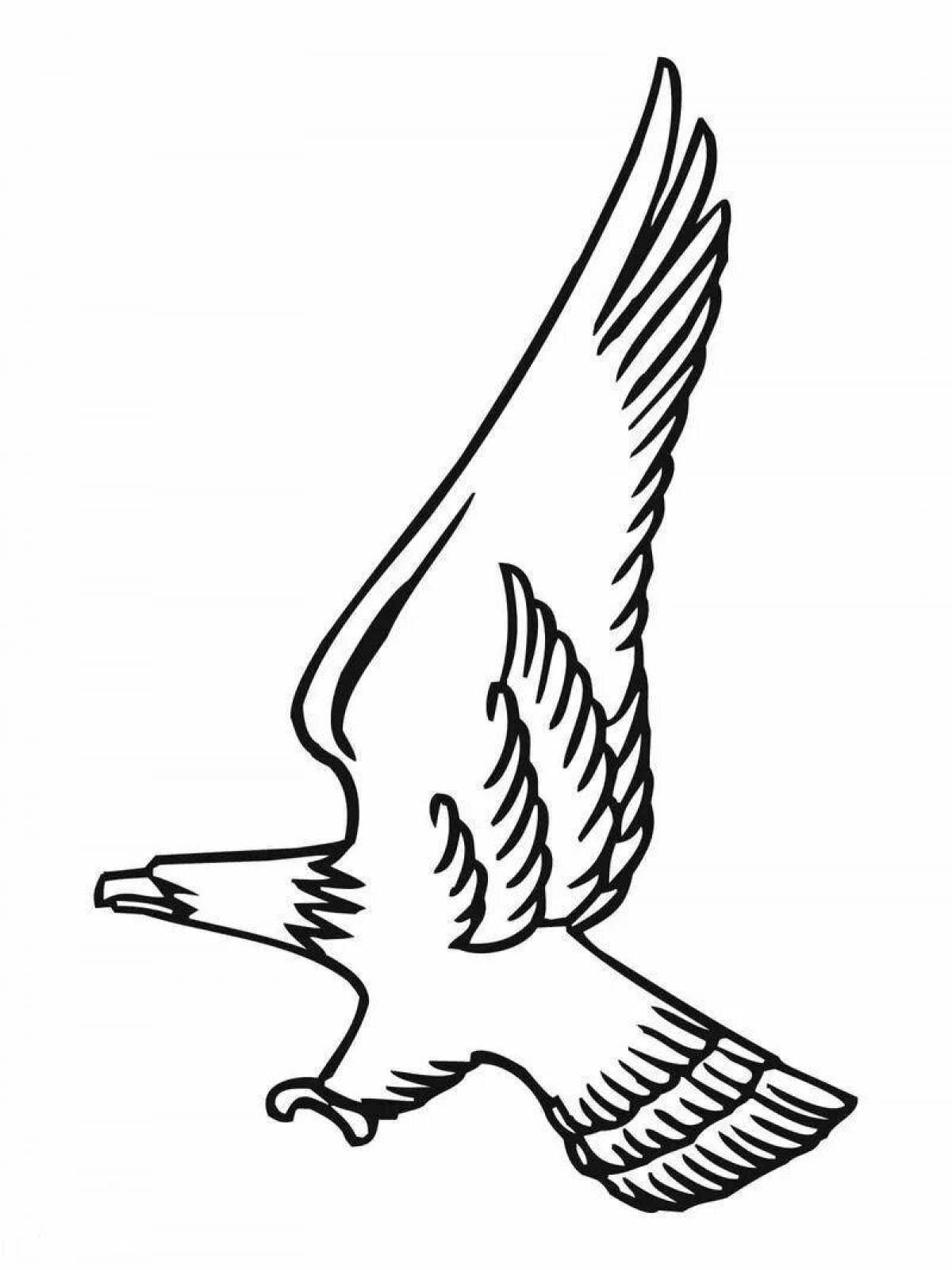 Coloring book dazzling white-tailed eagle
