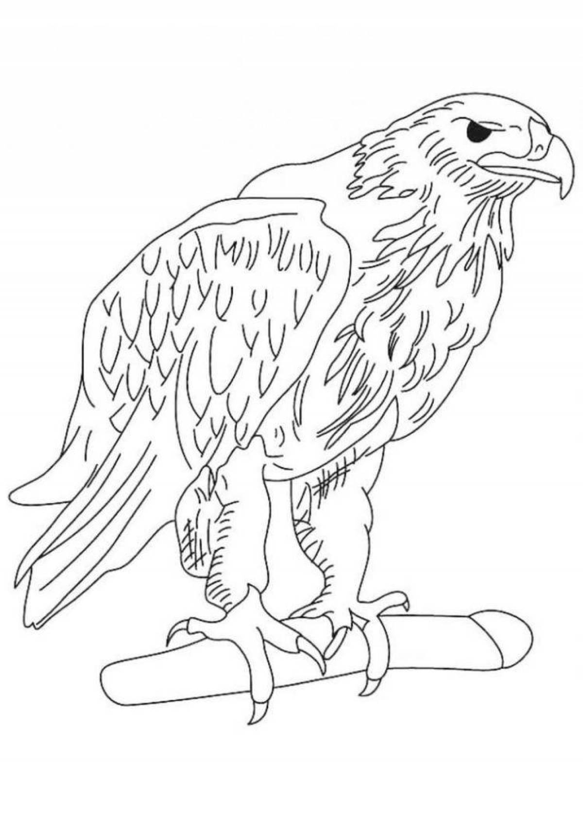 Glowing white-tailed eagle coloring page