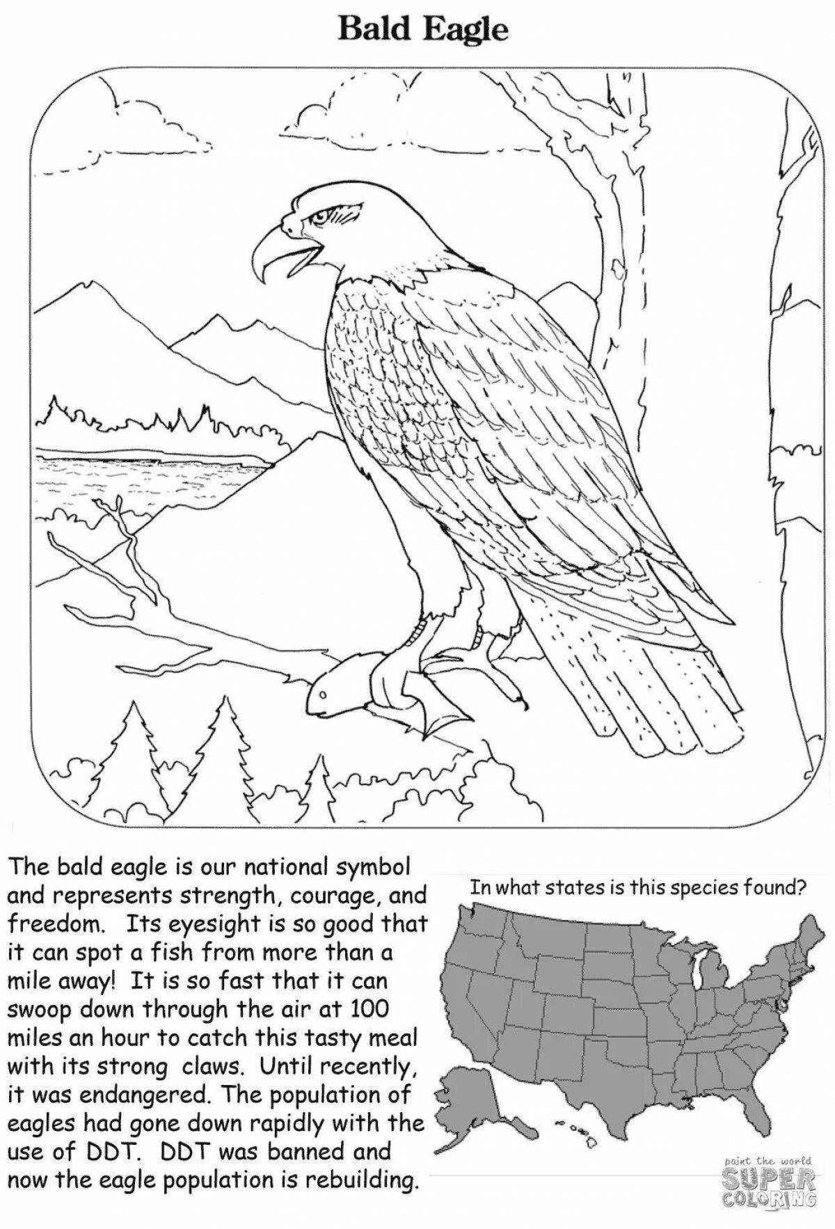 Flawless white-tailed eagle coloring page