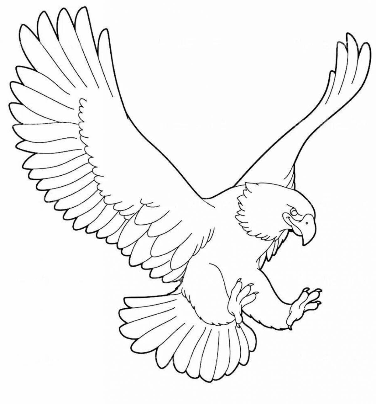 Coloring book brightly colored white-tailed eagle