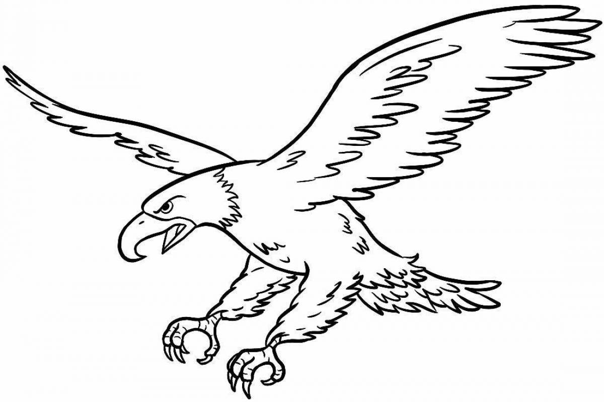Красочный орлан-белохвост раскраска
