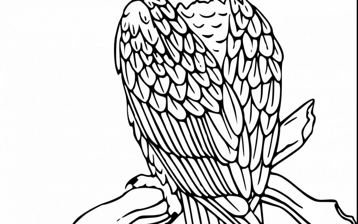 Attractive white-tailed eagle coloring book