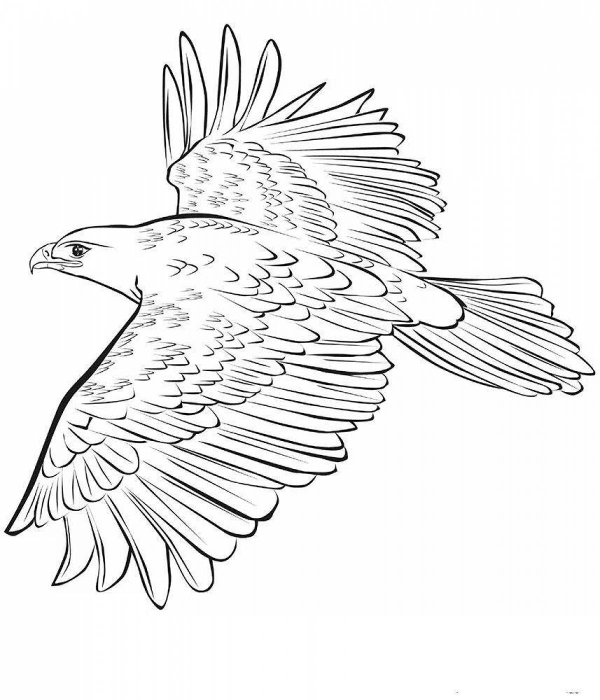 Coloring book white-tailed eagle with rich hues